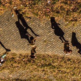 Students Walking on a Path